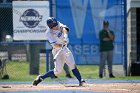 Baseball vs Babson  Wheaton College Baseball vs Babson during Semi final game of the NEWMAC Championship hosted by Wheaton. - (Photo by Keith Nordstrom) : Wheaton, baseball, NEWMAC